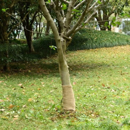 Rollo de yute 0,25x100 m 100% yute 200 gsm de , Decoración - Ref: Foro24-155794, Precio: 43,37 €, Descuento: %