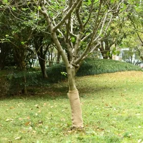 Rollo de yute 0,5x25 m 100% yute 200 gsm de , Decoración - Ref: Foro24-155798, Precio: 25,87 €, Descuento: %