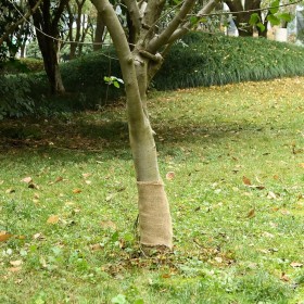 Rollo de yute 0,25x50 m 100% yute 200 gsm de , Decoración - Ref: Foro24-155793, Precio: 30,07 €, Descuento: %