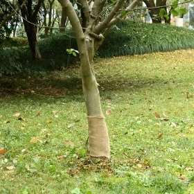 Jute roll 0.25x15 m 100% jute 200 gsm by , Decor - Ref: Foro24-155791, Price: 14,28 €, Discount: %