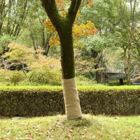 Rollo de yute 1x25 m 100% yute 200 gsm de , Decoración - Ref: Foro24-155803, Precio: 48,13 €, Descuento: %