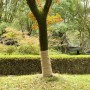 Rollo de yute 1x25 m 100% yute 200 gsm de , Decoración - Ref: Foro24-155803, Precio: 48,13 €, Descuento: %