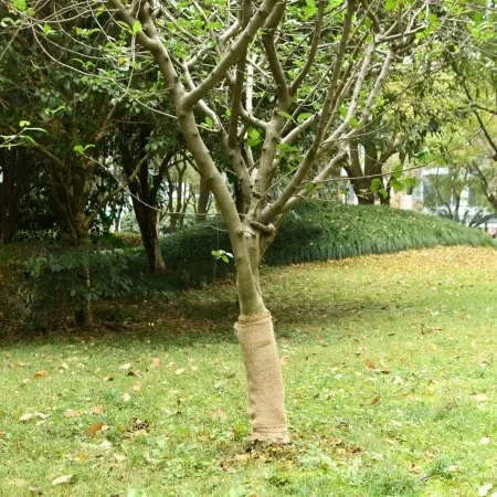 Jute rolls 2 units 0.5x50 m 100% jute 200 gsm by , Decor - Ref: Foro24-3206541, Price: 80,13 €, Discount: %