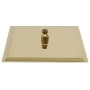 Cabezal ducha efecto lluvia acero inox cuadrado dorado 30x30 cm