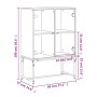 Armario auxiliar puertas de vidrio gris Sonoma 69x37x100 cm de , Aparadores - Ref: Foro24-836551, Precio: 76,35 €, Descuento: %