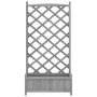 Pflanzgefäß mit Gitter aus massivem grauem Tannenholz von , Töpfe und Pflanzgefäße - Ref: Foro24-365489, Preis: 88,15 €, Raba...