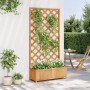 Solid Brown Fir Wood Trellis Planter by , Pots and planters - Ref: Foro24-365479, Price: 115,05 €, Discount: %