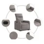 Sillón reclinable elevable tela gris taupe de , Sillones - Ref: Foro24-3206706, Precio: 245,17 €, Descuento: %