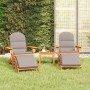 Juego de muebles de jardín Adirondack 3 piezas madera acacia de , Conjuntos de jardín - Ref: Foro24-3152126, Precio: 353,48 €...