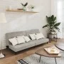 Sofá cama de 2 plazas terciopelo gris claro by , Sofas - Ref: Foro24-375732, Price: 231,84 €, Discount: %
