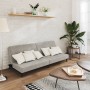 Zweiplätziges Schlafsofa aus hellgrauem Samtstoff von , Sofas - Ref: Foro24-375732, Preis: 235,90 €, Rabatt: %