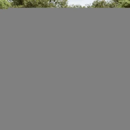 Gartensofagarnitur 14-teilig mit schwarzen Polstern aus synthetischem Rattan. von , Gartensets - Ref: Foro24-3250395, Preis: ...