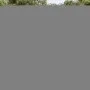Gartensofagarnitur 14-teilig mit schwarzen Polstern aus synthetischem Rattan. von , Gartensets - Ref: Foro24-3250395, Preis: ...