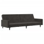 Dunkelgraues 2-Sitzer-Schlafsofa aus Samt von , Sofas - Ref: Foro24-375738, Preis: 259,97 €, Rabatt: %