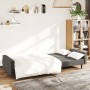 Dunkelgraues 2-Sitzer-Schlafsofa aus Samt von , Sofas - Ref: Foro24-375738, Preis: 259,97 €, Rabatt: %