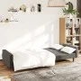 Sofá cama de 2 plazas terciopelo gris oscuro de , Sofás - Ref: Foro24-375738, Precio: 255,35 €, Descuento: %