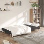 2-Sitzer-Schlafsofa aus schwarzem Stoff von , Sofas - Ref: Foro24-375725, Preis: 232,54 €, Rabatt: %