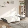 2-Sitzer-Schlafsofa aus hellgrauem Stoff von , Sofas - Ref: Foro24-375723, Preis: 232,56 €, Rabatt: %