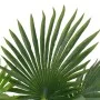 Artificial palm plant with pot 70 cm green by vidaXL, artificial flora - Ref: Foro24-280192, Price: 43,69 €, Discount: %