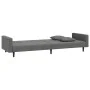 Zweiplätziges Schlafsofa mit zwei dunkelgrauen Samtkissen. von , Sofas - Ref: Foro24-375919, Preis: 270,27 €, Rabatt: %