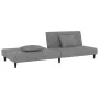 Sofá cama de 2 plazas con dos almohadas terciopelo gris claro by , Sofas - Ref: Foro24-375910, Price: 249,07 €, Discount: %