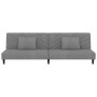 Sofá cama de 2 plazas con dos almohadas terciopelo gris claro de , Sofás - Ref: Foro24-375910, Precio: 250,72 €, Descuento: %