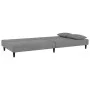 Sofá cama de 2 plazas con dos almohadas terciopelo gris claro by , Sofas - Ref: Foro24-375910, Price: 249,07 €, Discount: %