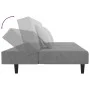 Sofá cama de 2 plazas con dos almohadas terciopelo gris claro by , Sofas - Ref: Foro24-375910, Price: 249,07 €, Discount: %
