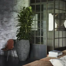 Capi Jar Nature Rib elegant Deluxe anthracite grey 45x72 cm by Capi, Pots and planters - Ref: Foro24-434857, Price: 213,86 €,...