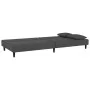 2-Sitzer-Schlafsofa mit zwei dunkelgrauen Samtkissen von , Sofas - Ref: Foro24-375911, Preis: 246,96 €, Rabatt: %