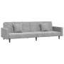 2-Sitzer-Schlafsofa mit zwei hellgrauen Samtkissen von , Sofas - Ref: Foro24-375918, Preis: 258,36 €, Rabatt: %
