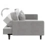 2-Sitzer-Schlafsofa mit zwei hellgrauen Samtkissen von , Sofas - Ref: Foro24-375918, Preis: 258,36 €, Rabatt: %