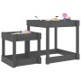 Sandtische 2 Stück aus massivem grauem Kiefernholz von , Strukturen für Spiele im Freien - Ref: Foro24-825053, Preis: 74,09 €...
