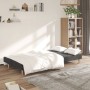 Sofá cama de 2 plazas tela gris oscuro by , Sofas - Ref: Foro24-375724, Price: 232,93 €, Discount: %