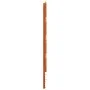 Bettkopfteil aus massivem Kiefernholz in Wachsbraun, 90 cm von , Kopf- und Fußteile - Ref: Foro24-844442, Preis: 33,61 €, Rab...