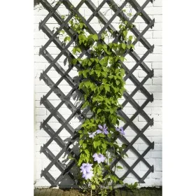 Natur Gartenzaun Gitter aus anthrazitgrauem Holz 50x150 cm von , Pergolen, Bögen und Gartenspaliere - Ref: Foro24-447508, Pre...