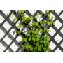 Nature Enrejado de jardín madera gris antracita 50x150 cm by , Pergolas, arches and garden trellises - Ref: Foro24-447508, Pr...