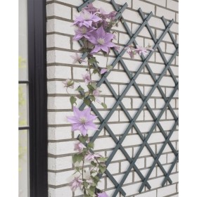 Nature Garden Rankgitter PVC Anthrazitgrau 50x150 cm von , Pergolen, Bögen und Gartenspaliere - Ref: Foro24-447509, Preis: 25...