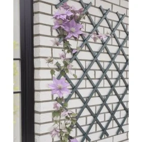 Nature Garden trellis PVC anthracite gray 50x150 cm by , Pergolas, arches and garden trellises - Ref: Foro24-447509, Price: 2...