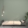 Dark gray velvet 2-seater sofa bed by , Sofas - Ref: Foro24-375859, Price: 274,32 €, Discount: %