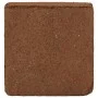 Kokosfaserblöcke 5 Einheiten à 5 kg, insgesamt 25 kg von , Erde und Sand - Ref: Foro24-155730, Preis: 88,33 €, Rabatt: %