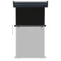Schwarze Balkon-Seitenmarkise 105x250 cm von , Sonnenschirme - Ref: Foro24-48412, Preis: 68,15 €, Rabatt: %