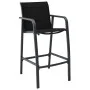 Sillas altas de jardín 2 unidades textilene negro de , Sillas de jardín - Ref: Foro24-48116, Precio: 176,38 €, Descuento: %