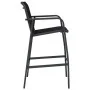 Sillas altas de jardín 2 unidades textilene negro de , Sillas de jardín - Ref: Foro24-48116, Precio: 176,38 €, Descuento: %