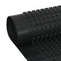 Lámina de drenaje nodular HDPE 400 g/m² 0,5x20 m de vidaXL, Aislamiento - Ref: Foro24-144946, Precio: 40,96 €, Descuento: %