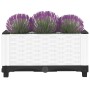 Pflanzkasten aus Polypropylen, 40x40x23 cm von , Töpfe und Pflanzgefäße - Ref: Foro24-153304, Preis: 23,41 €, Rabatt: %