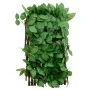 Enrejado expandible hiedra artificial verde 5 uds 180x30 cm by , fence panels - Ref: Foro24-366585, Price: 63,84 €, Discount: %