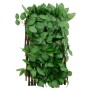 Erweiterbares Gitter mit künstlichem grünen Efeu, 5 Stück, 180x30 cm. von , Zaunpaneele - Ref: Foro24-366585, Preis: 58,38 €,...