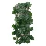 Green artificial vine expandable fence trellis 190x60 cm by , fence panels - Ref: Foro24-366582, Price: 22,60 €, Discount: %