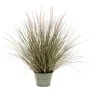 Emerald Artificial penissetum plant in zinc pot 58 cm by Emerald, artificial flora - Ref: Foro24-435932, Price: 38,08 €, Disc...